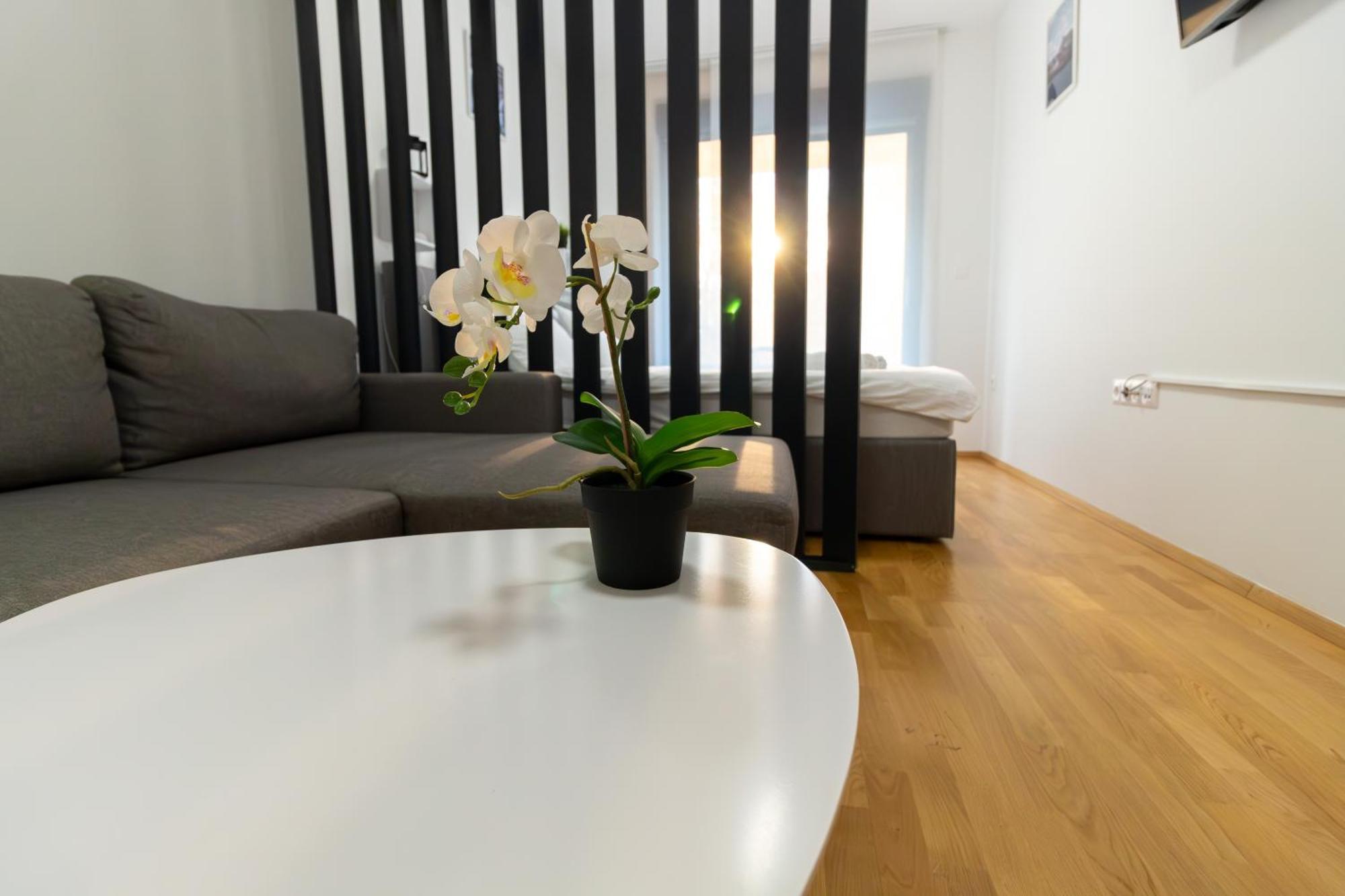 Gajeva Rooms - Stockholm Apartment Self Check-In Virovitica Dış mekan fotoğraf